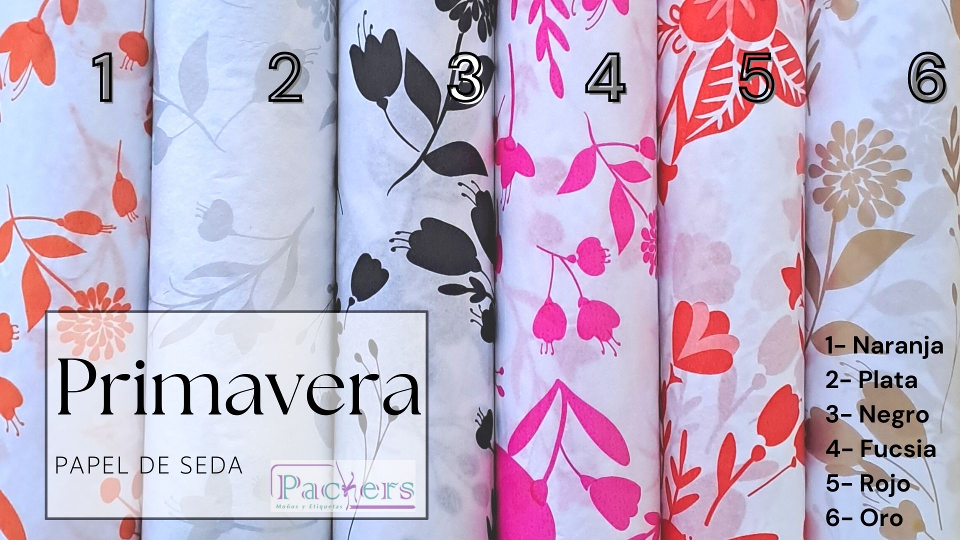 plan PAPEL SEDA PRIMAVERA
