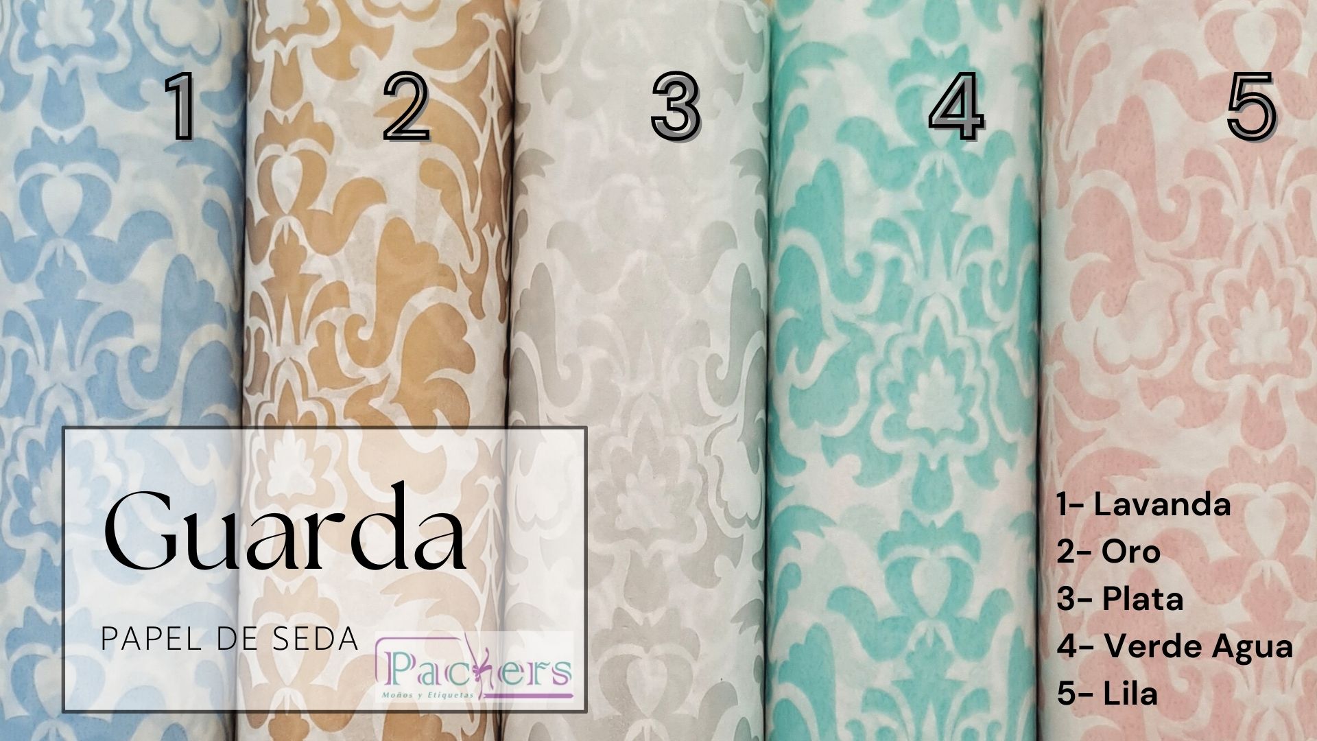 plan PAPEL SEDA GUARDA 