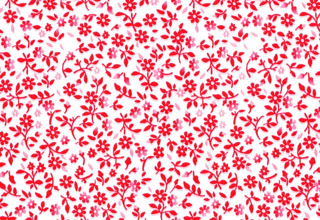 plan PAPEL DE REGALO PREMIUM FLORCITA ROJA